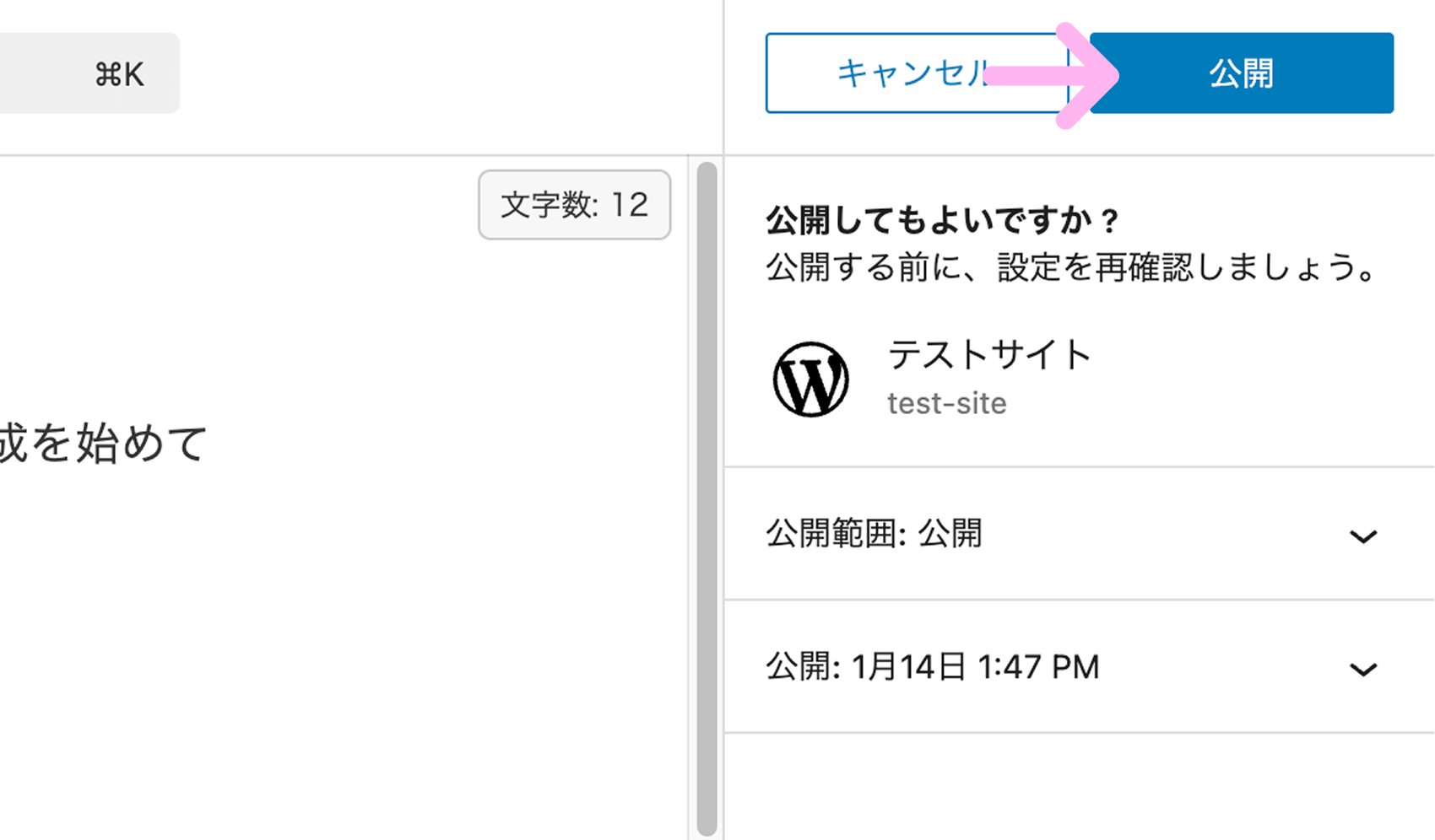 WordPressで公開ボタンを押した後の最終確認画面